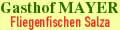 Kostenlos Fliegenfischen fr Hausgste